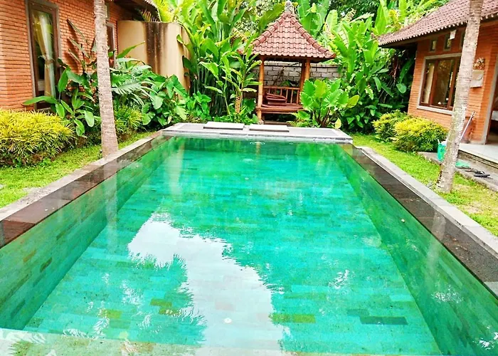 Vidya House Ubud